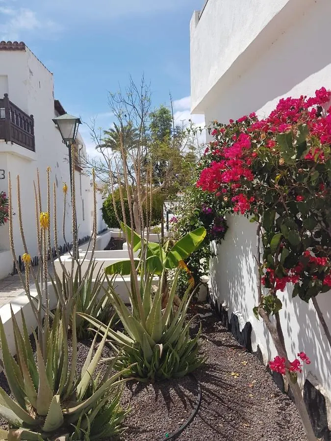 Charlotte Apartment Down Costa Del Silencio
