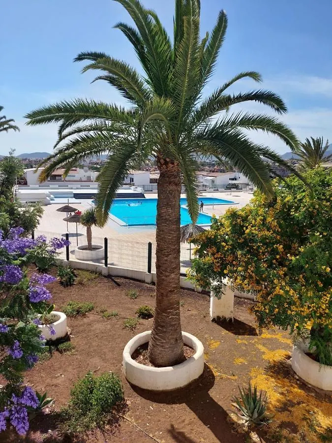 Charlotte Apartment Down Costa Del Silencio